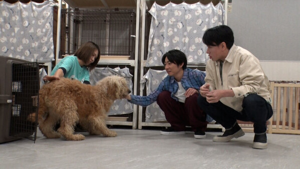 横山裕、相葉雅紀と再び“保護犬トリミング”　親友同士の本音トークも