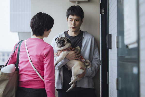 松山ケンイチ“元妻役”にネット驚き「『虎に翼』コンビだ！」　『時すでにおスシ!?』第4話で判明