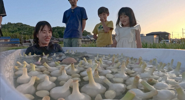 今夜『探偵！ナイトスクープ』湯船に大量のにんにく…「なんやこれは!?」困惑　体からもにんにく臭の依頼者が最後の別れ