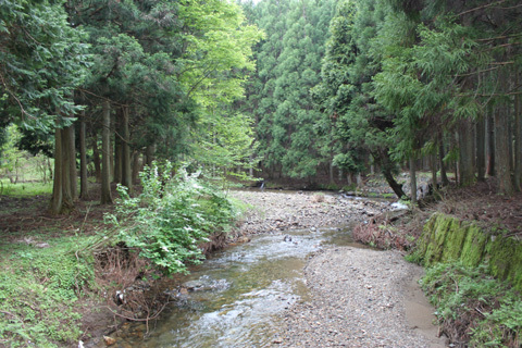 親子で楽しむ夏休み特別企画『自然学校 in 大原』開催！