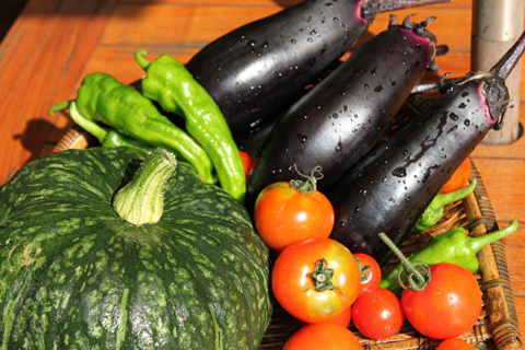 親子で楽しむ夏休み特別企画『自然学校 in 大原』開催！