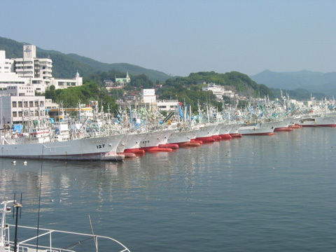 被災前後の写真をまとめた「みやぎ思い出写真集」のサポーターを募集中