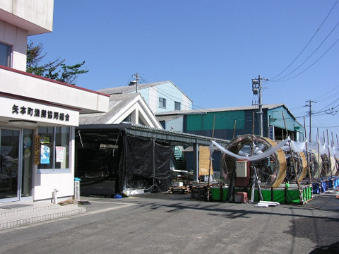 被災前後の写真をまとめた「みやぎ思い出写真集」のサポーターを募集中