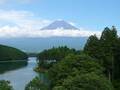国立公園で「自然体験型ツアー」を満喫！「富士山麓・田貫湖アクティブ体験プラン」