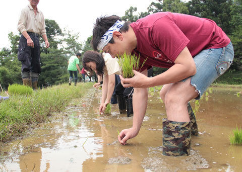 京都の老舗米屋が食育支援『お米で笑顔プロジェクト』