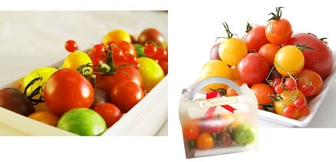 憧れのトマト専門店「Celeb de TOMATO」がお届けする、色鮮やかなフレッシュトマトをお取り寄せ！