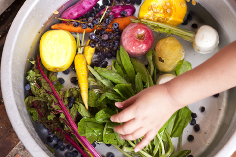 新しくなったギャラリーROCKETで、飯島奈美さんによる食のエキジビション開催中。