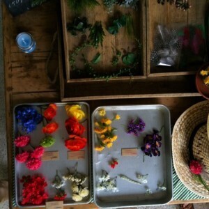 ママと子どもたちで楽しむ、「mother dictionary秋の会」開催