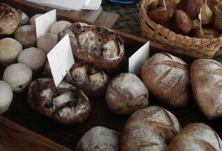 ママと子どもたちで楽しむ、「mother dictionary秋の会」開催