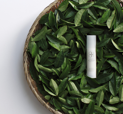 話題のワイルドクラフトコスメブランド「QUON（クオン）」から新商品が発売