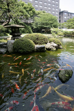 ベビーが一緒でもゆっくりランチ！グランドプリンスホテル高輪が「和室で寛ぐママ友プラン」をスタート