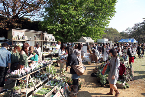 『第2回 ロハスフェスタ in 東京』押し花ワークショップレポート