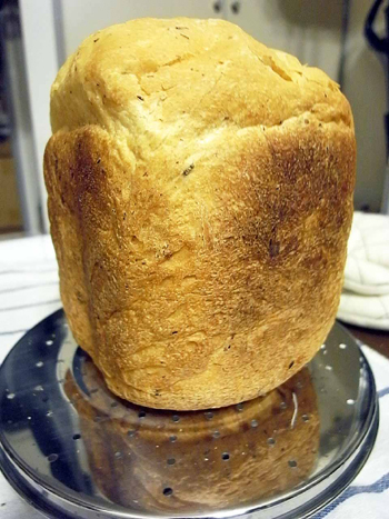 冷やごはんからパンが焼ける、最新「GOPAN（ゴパン）」を使ってみた！