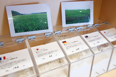 こだわりの製菓製パン材料専門ショップ＆スクール、「HAPPY COOKING」が六本木ヒルズにオープン！