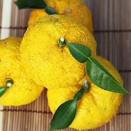 冬至には湯治！ 恐るべき柚子パワーとは？