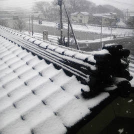 冬至には湯治！ 恐るべき柚子パワーとは？