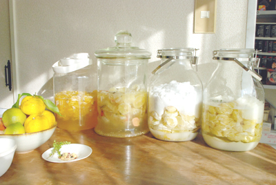 免疫力をアップする、話題の「酵素シロップ」とは？　～杉本雅代さんインタビュー（１）　　レシピ付き