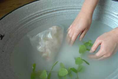 免疫力をアップする、酵素シロップのさまざまな使用方法　～杉本雅代さんインタビュー（２）　活用術