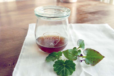 免疫力をアップする、酵素シロップのさまざまな使用方法　～杉本雅代さんインタビュー（２）　活用術