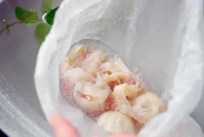 免疫力をアップする、酵素シロップのさまざまな使用方法　～杉本雅代さんインタビュー（２）　活用術