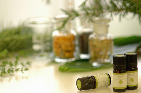 親子でお正月のおもちゃ作りに挑戦！　表参道ヒルズの新春スペシャルワークショップ