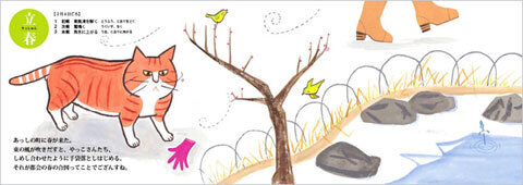 季節の「いいにゃ」が詰まった絵本『ねこよみ』発売