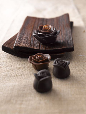 有名チョコレートブランドとのコラボで誕生！「チョコレボ ガーナの森を育てるチョコレート」