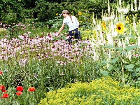 Dr.ハウシュカより、オーガニックな植物エキスをたっぷり配合した5色の限定リップスティックが新発売！