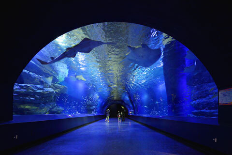 春爛漫!　ホテルのデイユースプランを賢く使って、お花見ママ会。