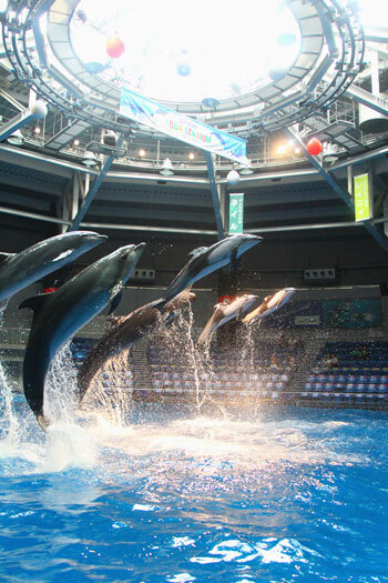 春爛漫!　ホテルのデイユースプランを賢く使って、お花見ママ会。