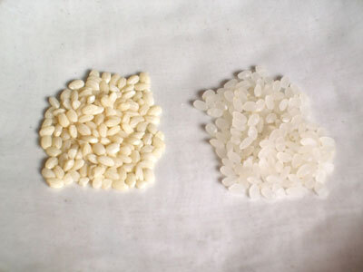 お米にまぜて炊くだけ、子育て世帯向け栄養強化米 「新玄(R) ごはんでファイト」を食べてみた！