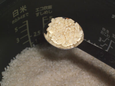お米にまぜて炊くだけ、子育て世帯向け栄養強化米 「新玄(R) ごはんでファイト」を食べてみた！
