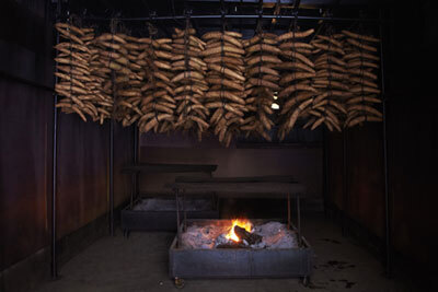 東北の知恵と工夫に満ちた「食と住」を紹介！企画展 「テマヒマ展〈東北の食と住〉」とは