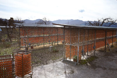 東北の知恵と工夫に満ちた「食と住」を紹介！企画展 「テマヒマ展〈東北の食と住〉」とは