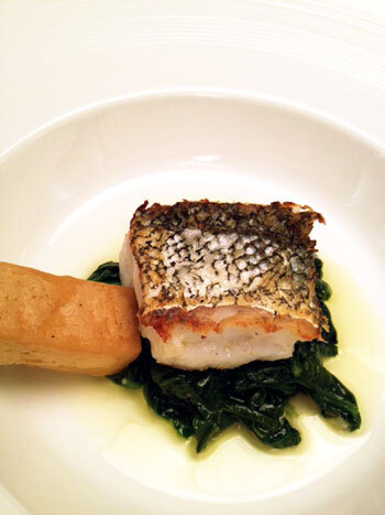 松嶋シェフも絶賛！リグーリア州産のEXVオリーブオイル『チェ』が初上陸。