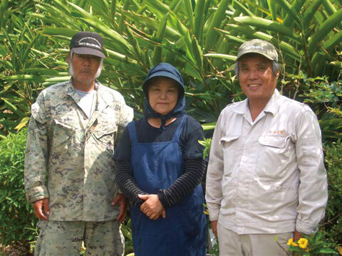 沖縄発のピュアなオーガニッックコスメ「琉白（ルハク）」誕生！