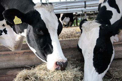 安全で美味しい食べものとは？　独自の農業に取り組む農家７人を取り上げた本が発売