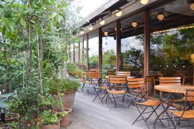 11時からの “ママだけランチ” にも “朝お茶” にも！　「day light kitchen」（デイライトキッチン）