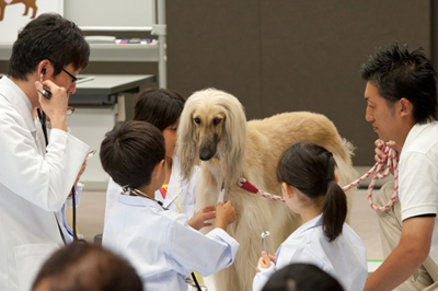 東京国際フォーラムで「丸の内キッズジャンボリー2012」開催