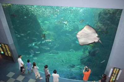 新江ノ島水族館が世界初となる「しんかい2000」常設展示をスタート