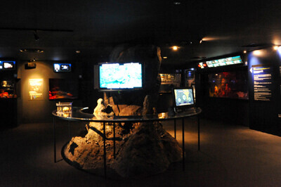 新江ノ島水族館が世界初となる「しんかい2000」常設展示をスタート