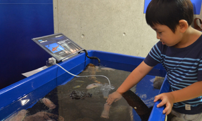 新江ノ島水族館が世界初となる「しんかい2000」常設展示をスタート