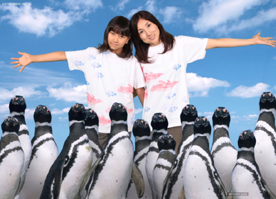 「すみだ水族館」が親子で楽しめる夏季限定プログラムを開催