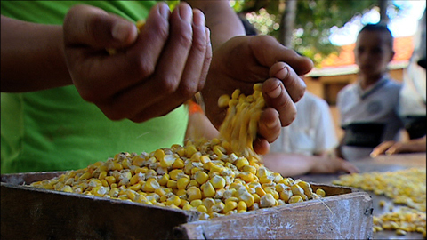 話題のドキュメンタリー映画「モンサントの不自然な食べもの」がまもなく公開