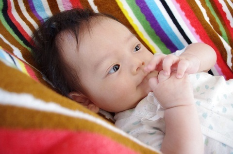 都心で気軽にアウトドア！気球や凧あげも楽しめる「新豊洲カーニバル」開催