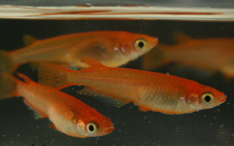 初心者でもOK！　子供と一緒に自然と親しむ方法