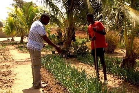 フランス人監督が鋭く切り込む、ドキュメンタリー映画「世界が食べられなくなる日」