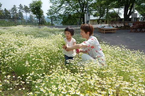 家族で使えるオーガニックスキンケアシリーズ「華密恋」の工場見学に行ってきた