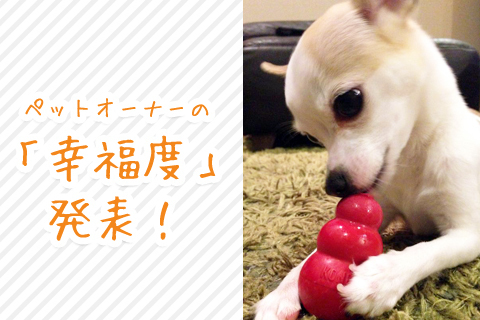 ペットオーナーの『幸福度』発表！ 犬オーナー8.47点 猫オーナー8.43点 ペットに一番伝えたい言葉は「ありがとう」