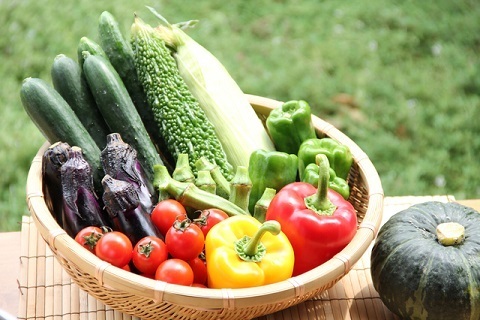 旬の野菜で夏バテ防止!!　“夏野菜”ってご存知ですか?